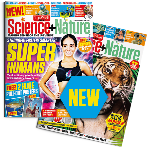 Science and Nature cover